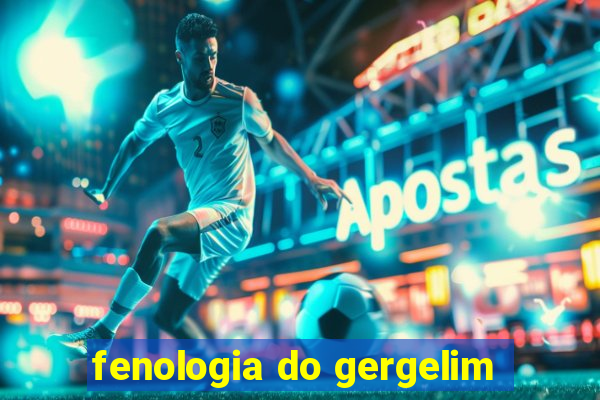 fenologia do gergelim